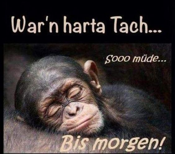 bis_morgen.jpg