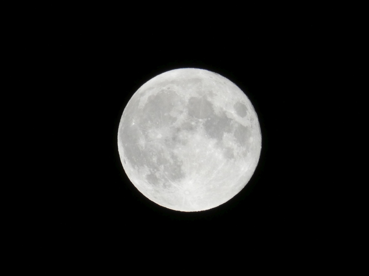 p1010164.jpg