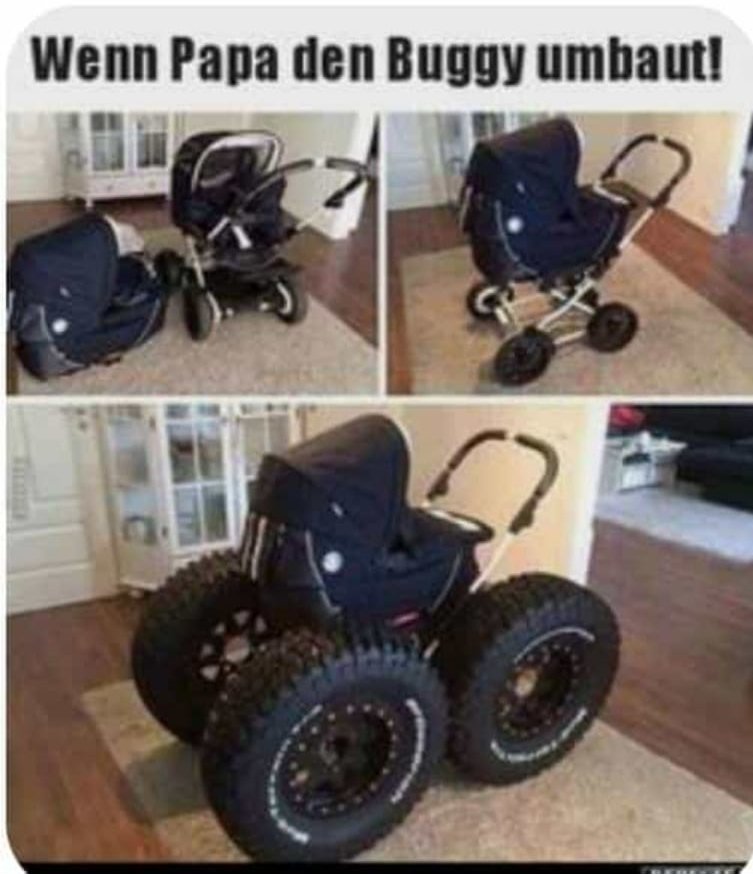 buggy.jpg