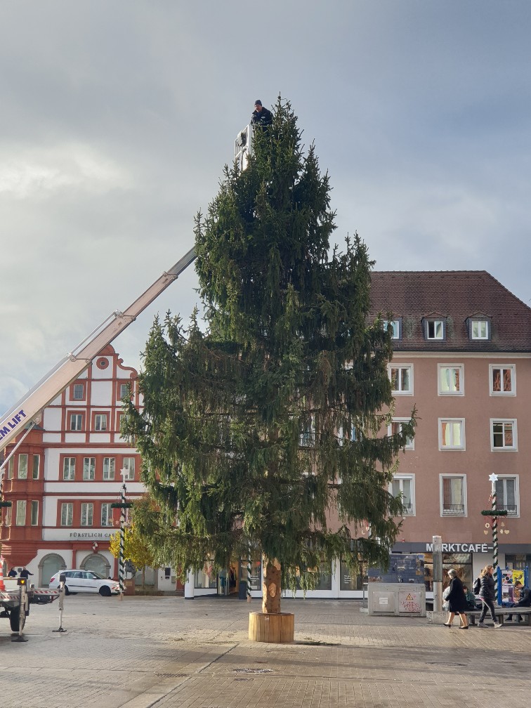 weihnachtsbaum_nov_2023.jpg