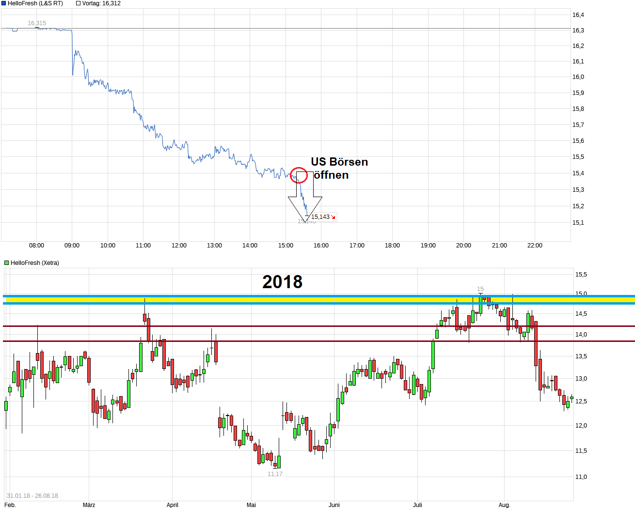 chart_intraday_hellofresh.png