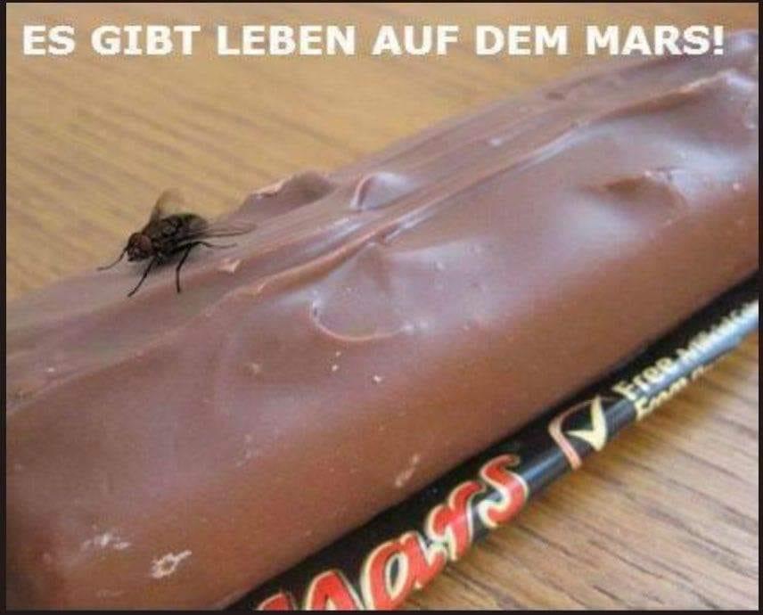 mars_leben3.jpg