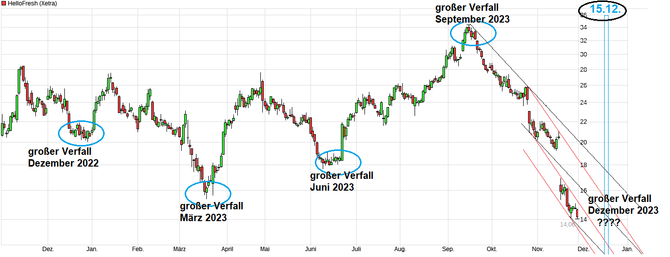 chart_year_hellofresh.png