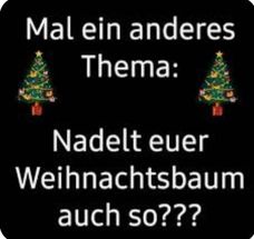 weihnachtsbaum.jpg