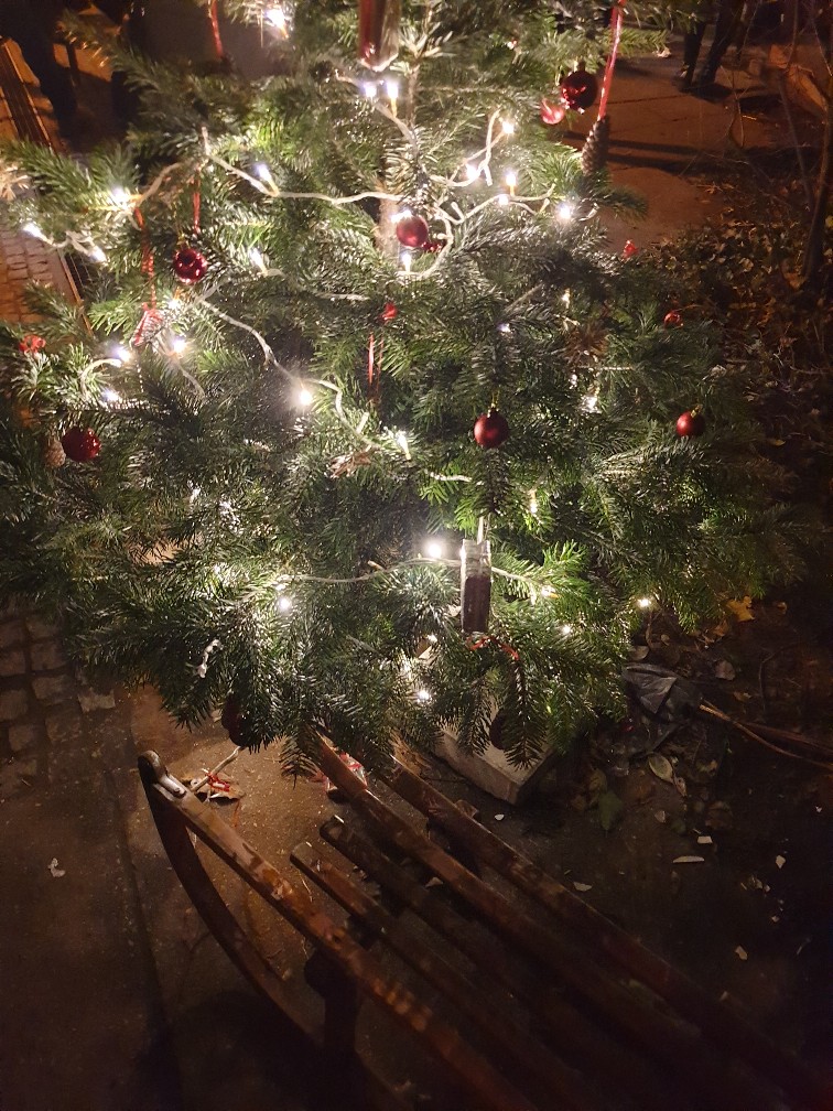 weihnachtsbaum_dez_2023.jpg