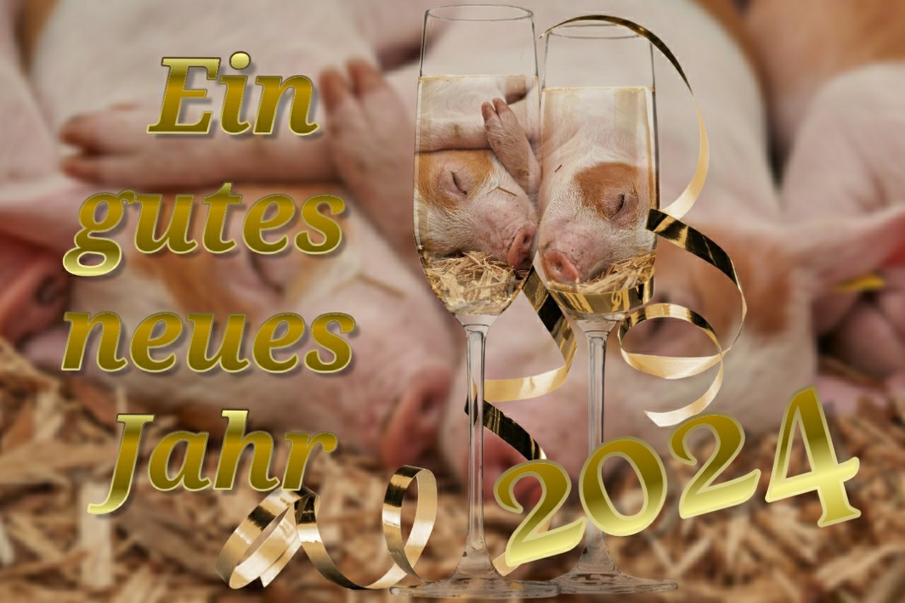 neujahr2024_dez_2023.jpg