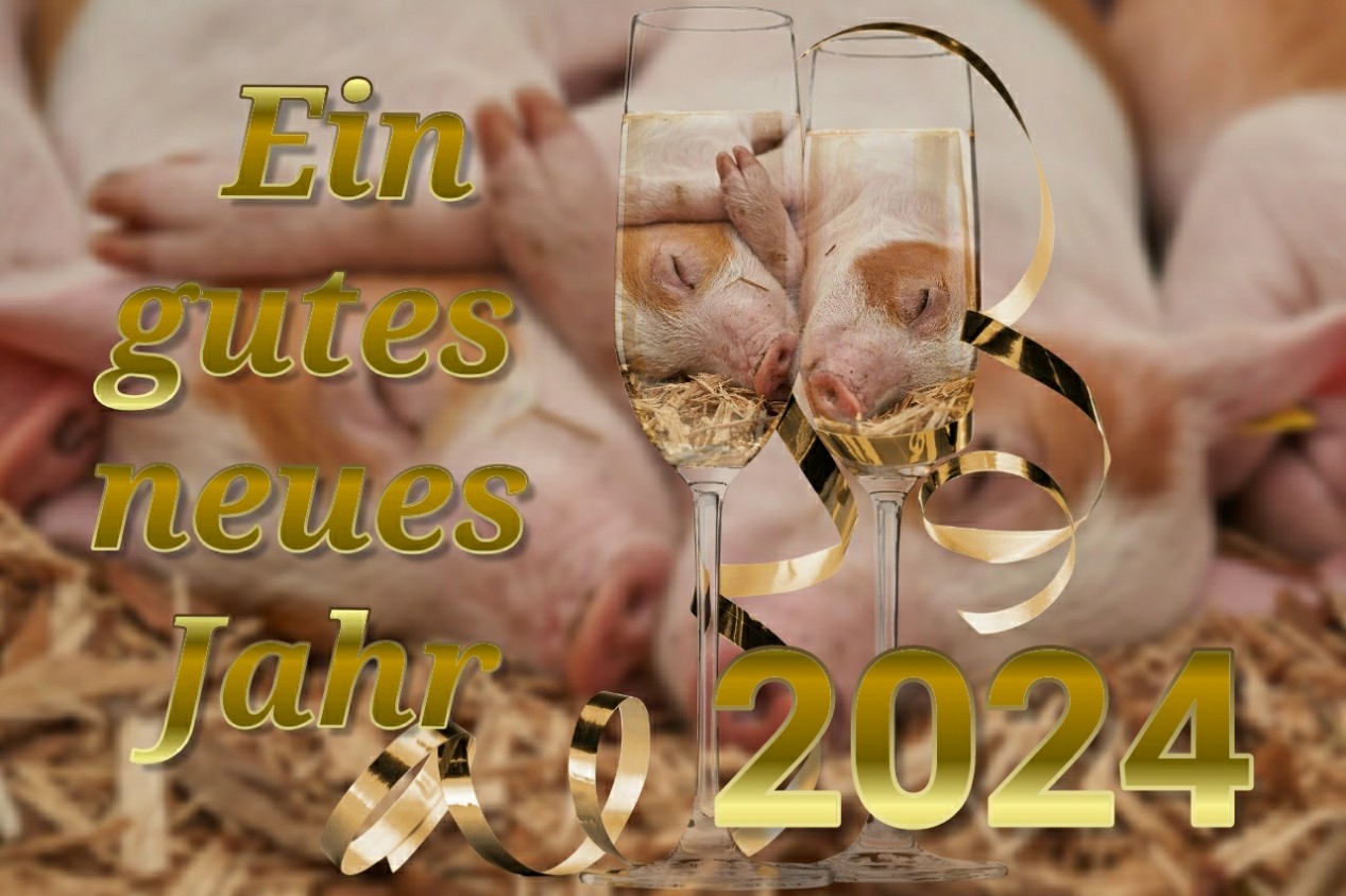 neujahr_2024_dez_2023.jpg