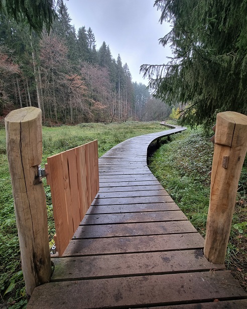 wandern_in_der_eifel.jpg