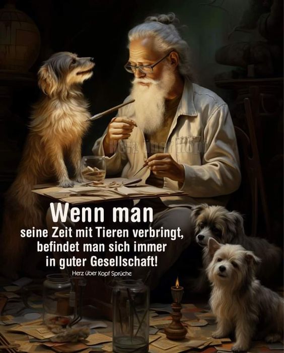 zeit_tiere.jpg