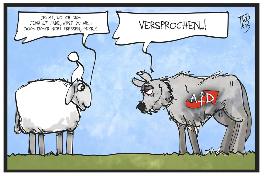 wolf_schaf.jpg