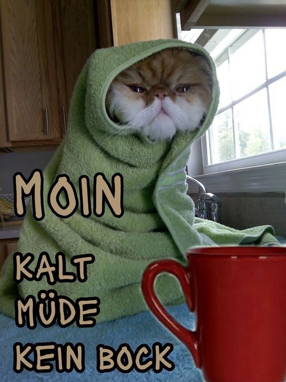 moin_kalt_m__de.jpg