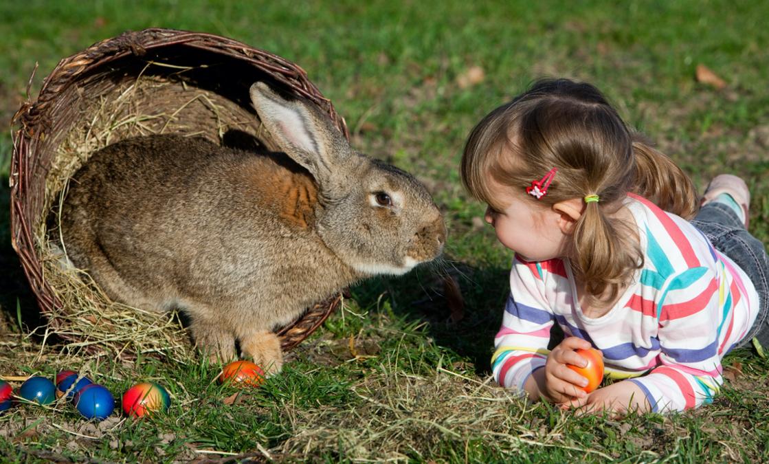 ostern.jpg