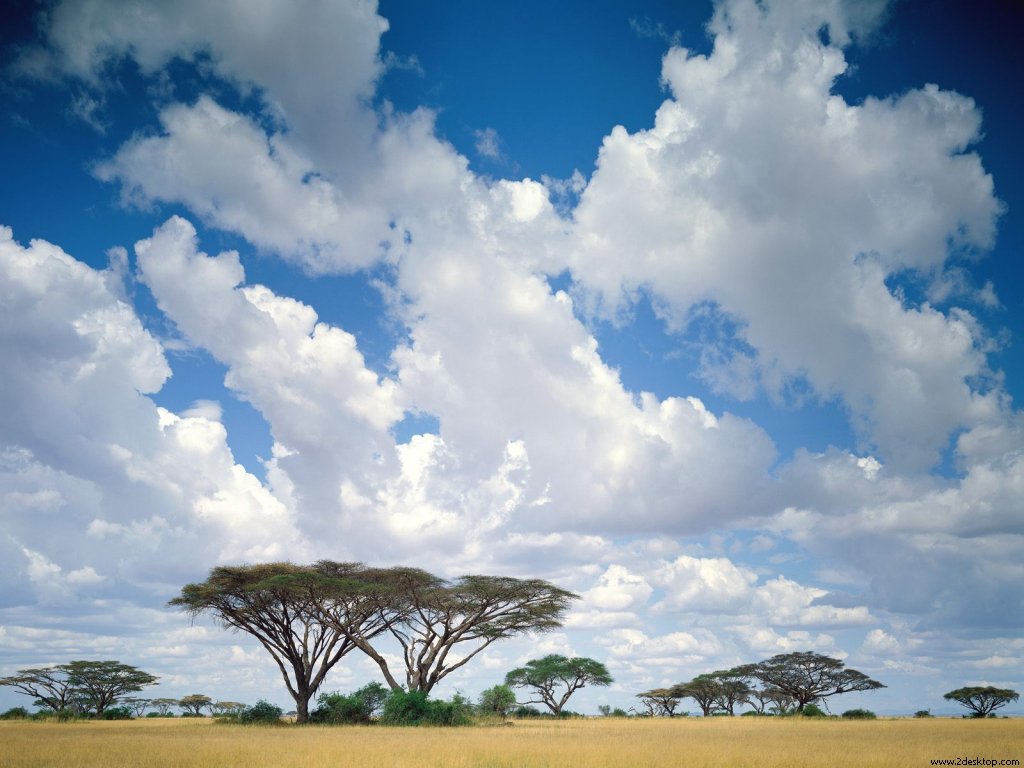 masai_mara_game_reserve_7295_1024_768.jpg