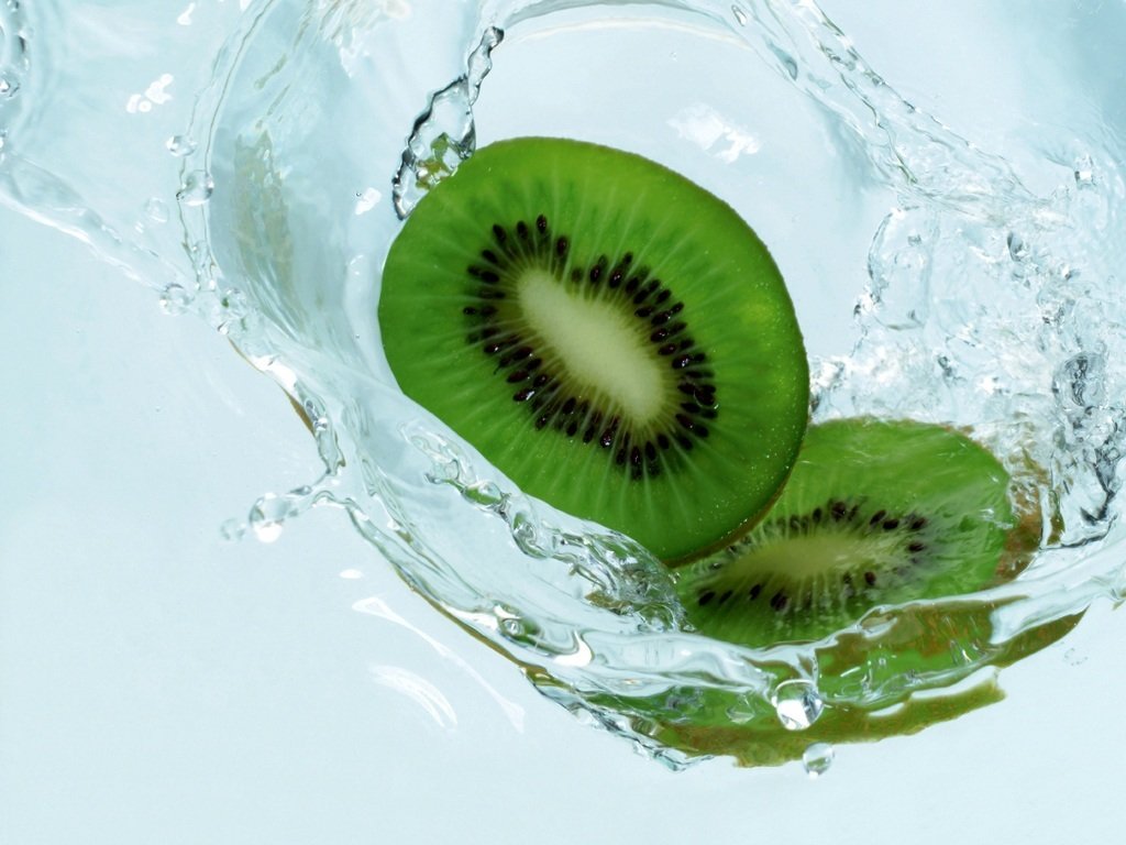 kiwi_in_water_9158_1024_768.jpg