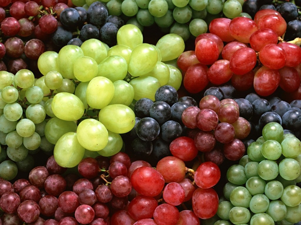 grapes_9120_1024_768.jpg