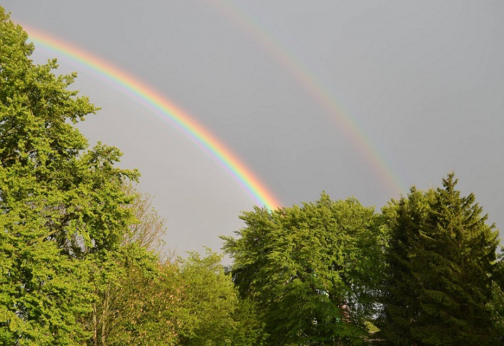 regenbogen.jpg