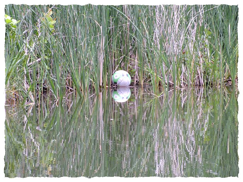 ball_im_wasser.jpg