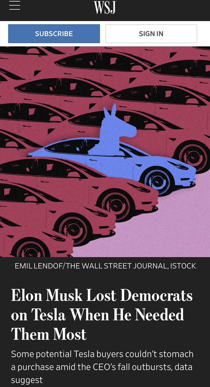 dems-elon-lost.jpg