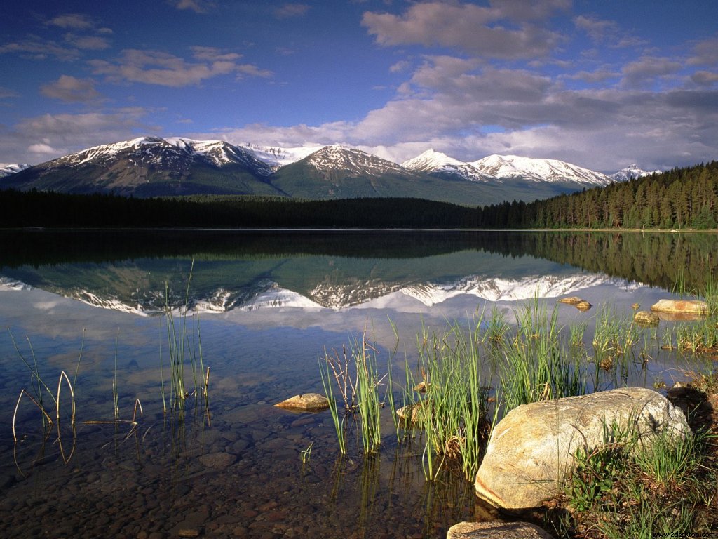 patricia_lake_jasper_national_park_alberta_canad....jpg