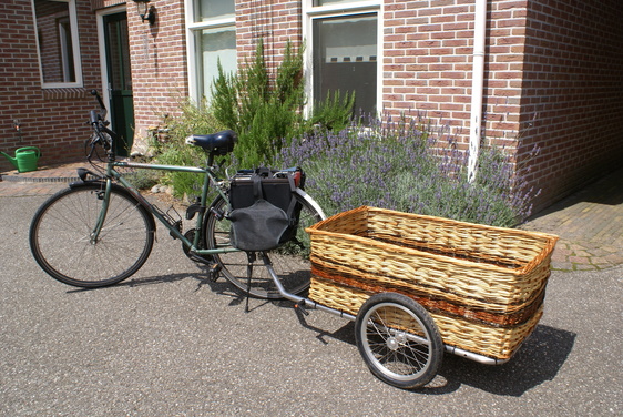 281890_galeria_bicycle_trailer_with_custom_ma....jpg