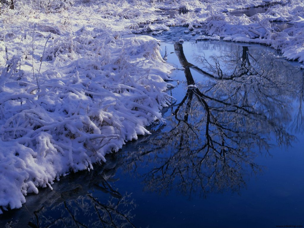 winter_reflection_lisle_illnoise_5639_1024_768.jpg