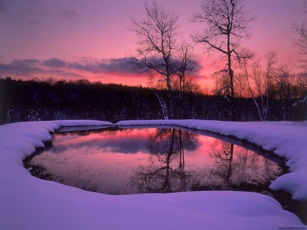mount_washington_state_forest_massachusetts....jpg