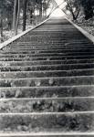 treppe.jpg