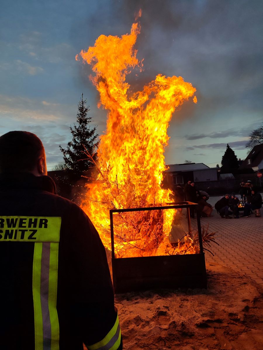 baum_verbrennen.jpg