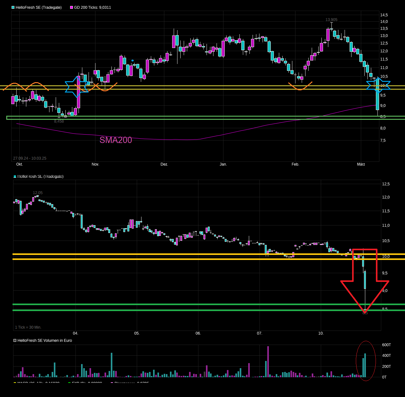 chart_free_hellofreshse-----.png