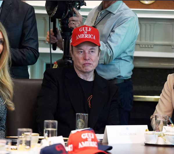 trottel_elon.jpg