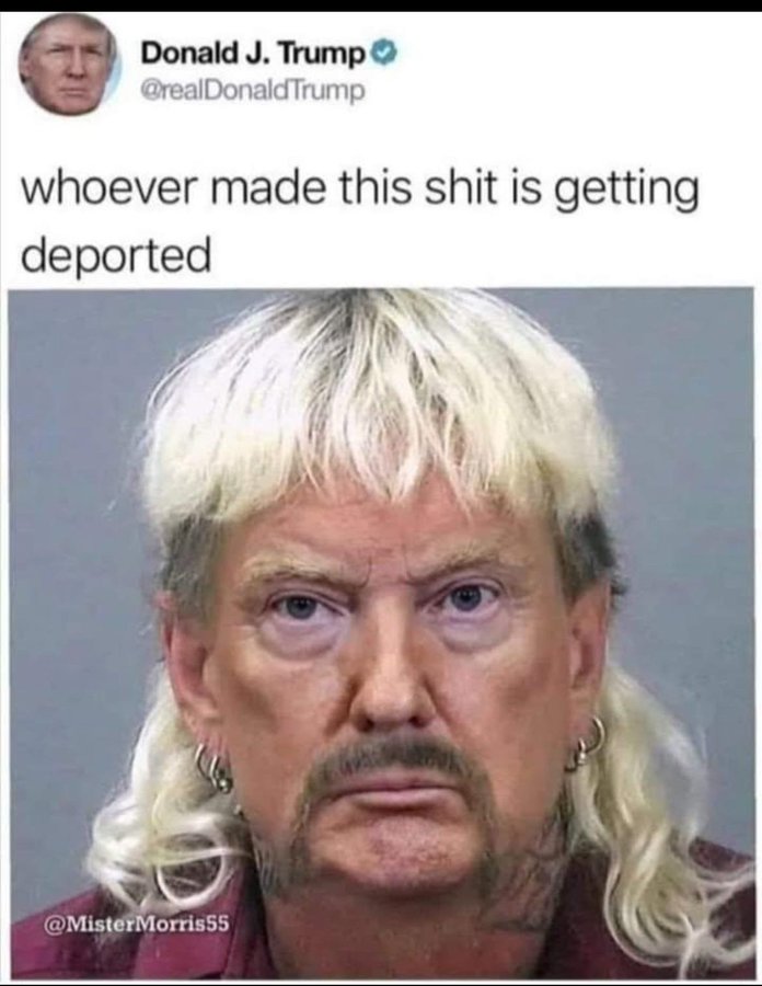 gqorh3jxuaaw6i4.jpg