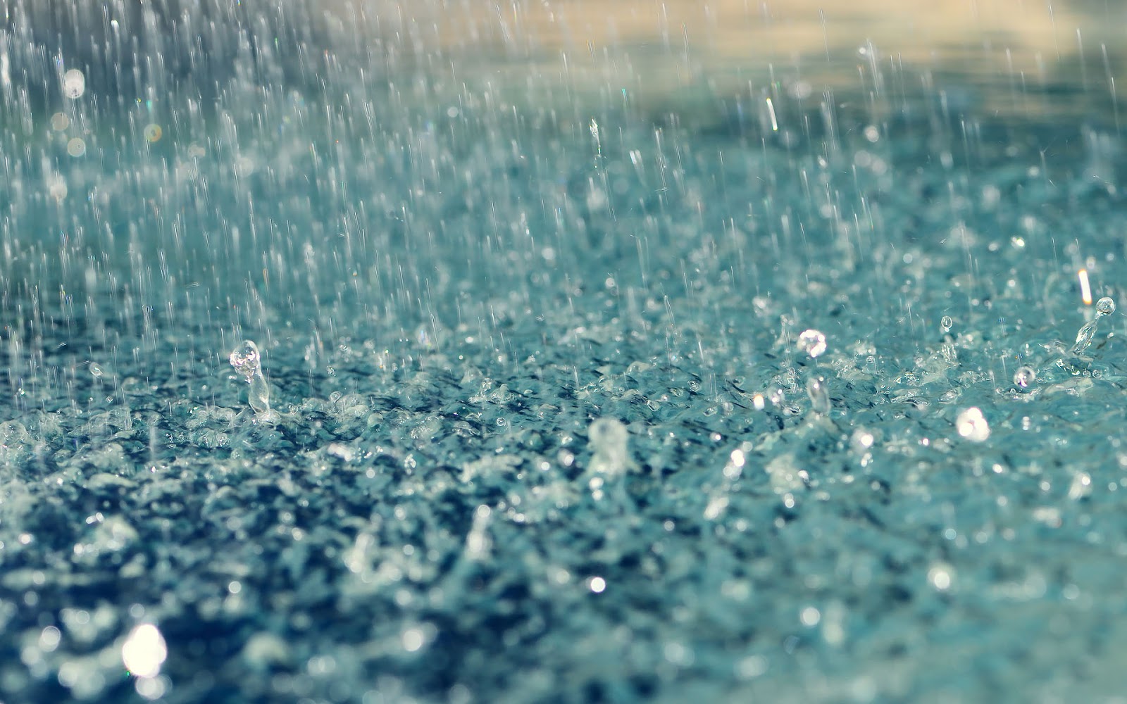 regen.jpg