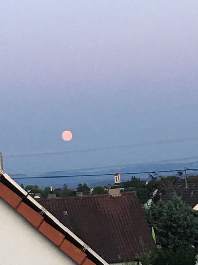 img_3701mond.jpg