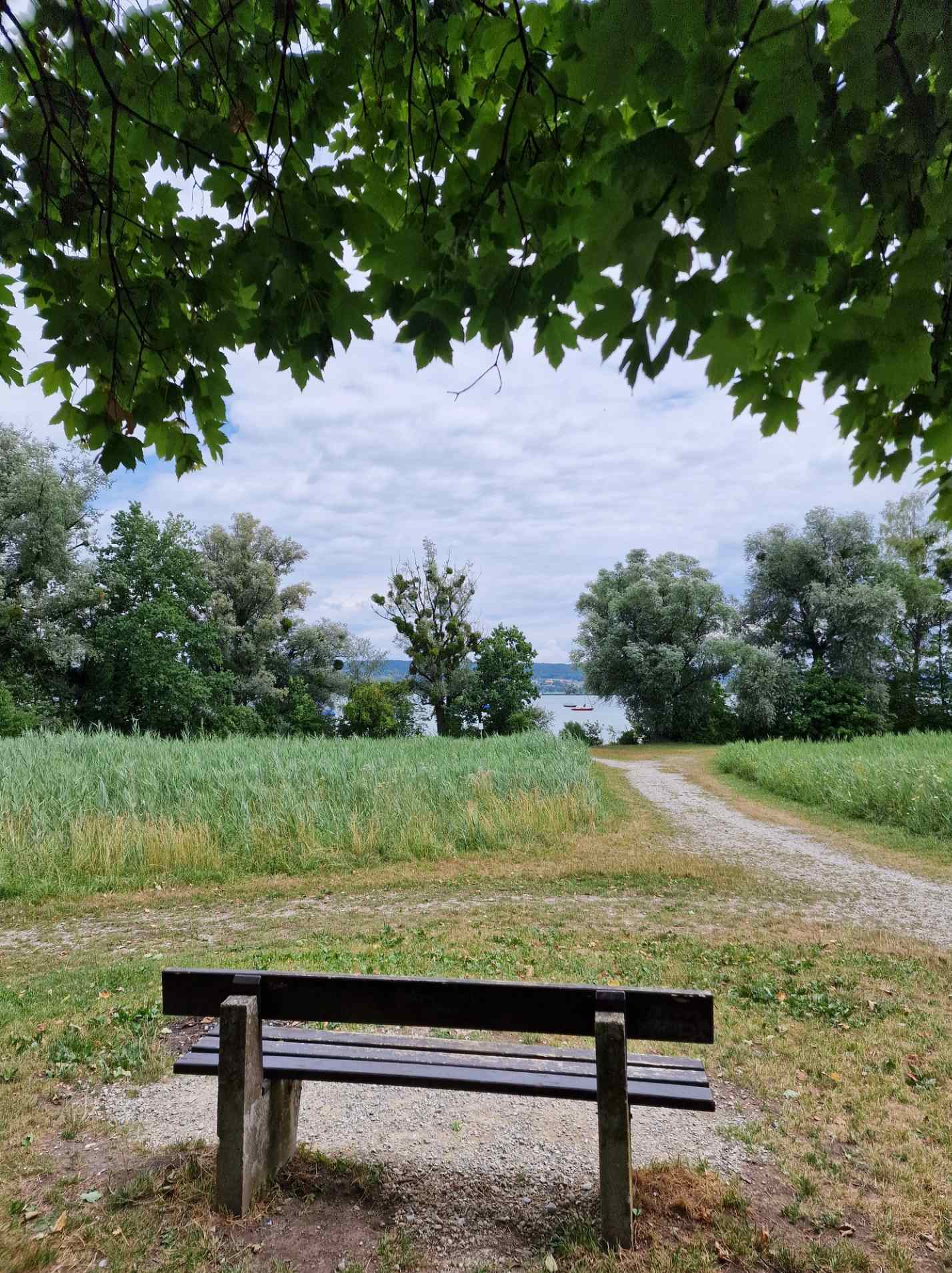 ammersee_11.jpg