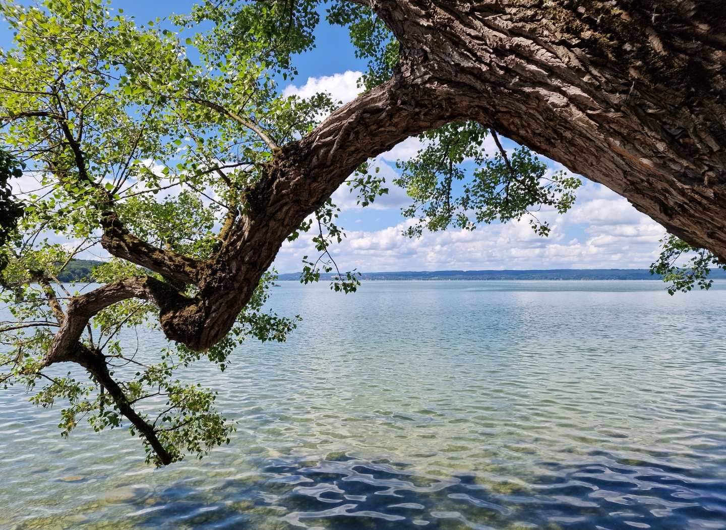 ammersee_12.jpg