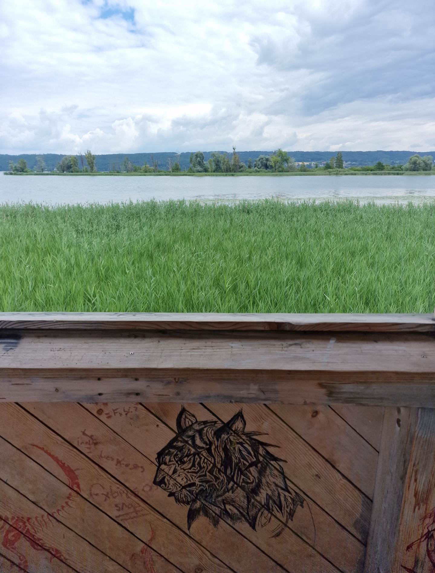 ammersee_09.jpg
