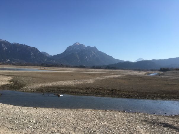 img_0154forgensee.jpg