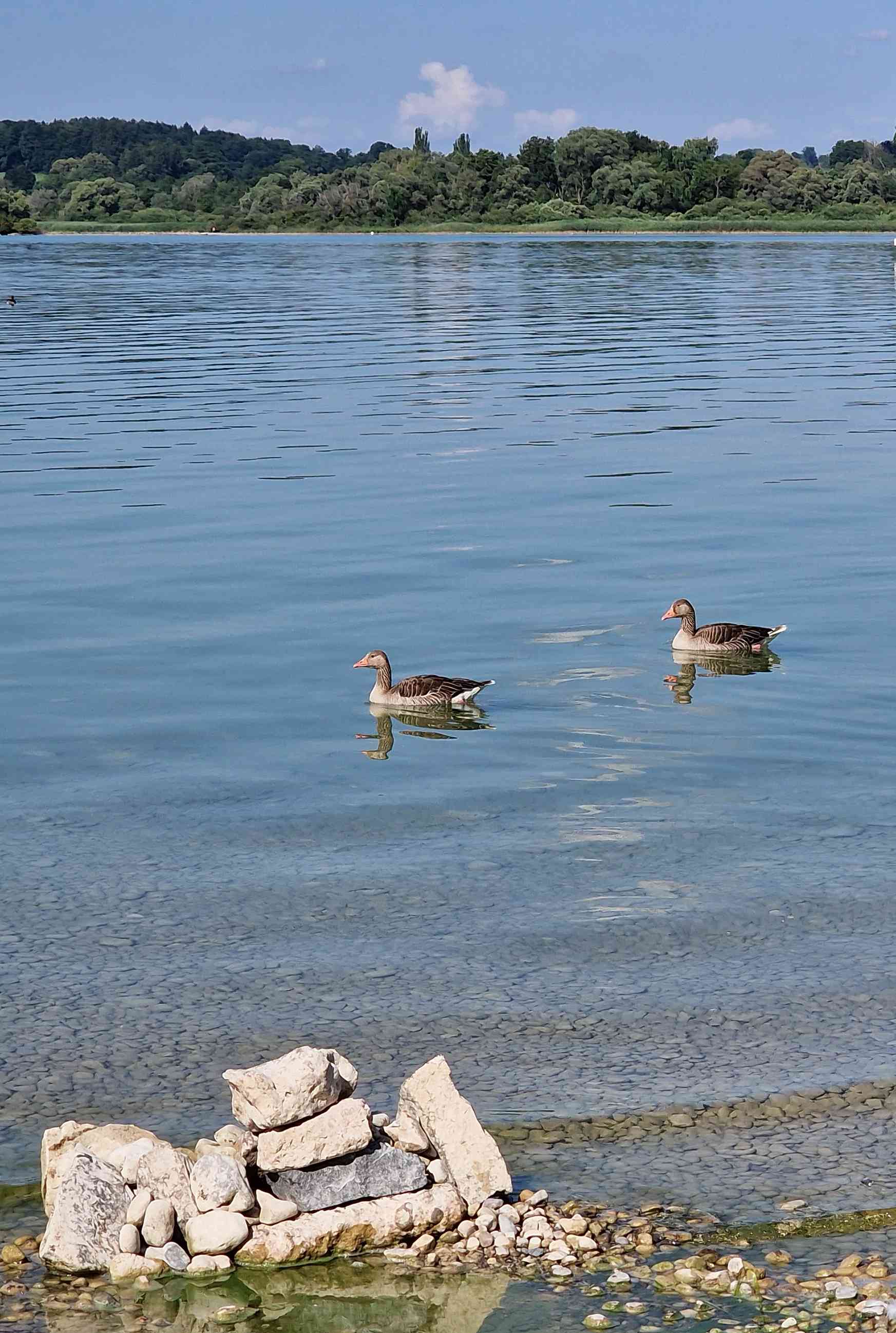 ammersee_13.jpg