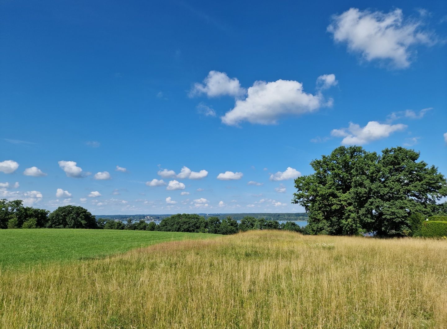 ammersee_13.jpg