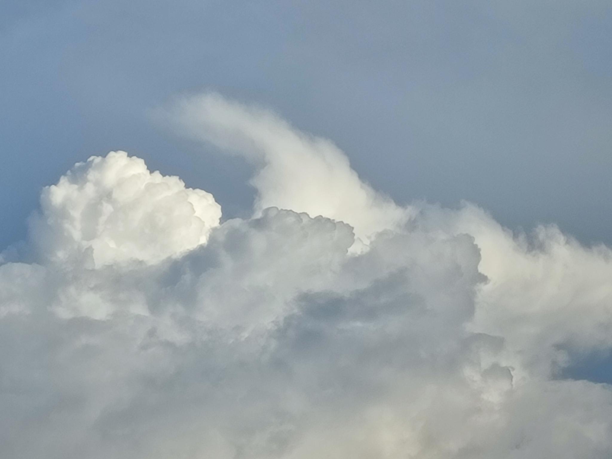 wolke.jpeg
