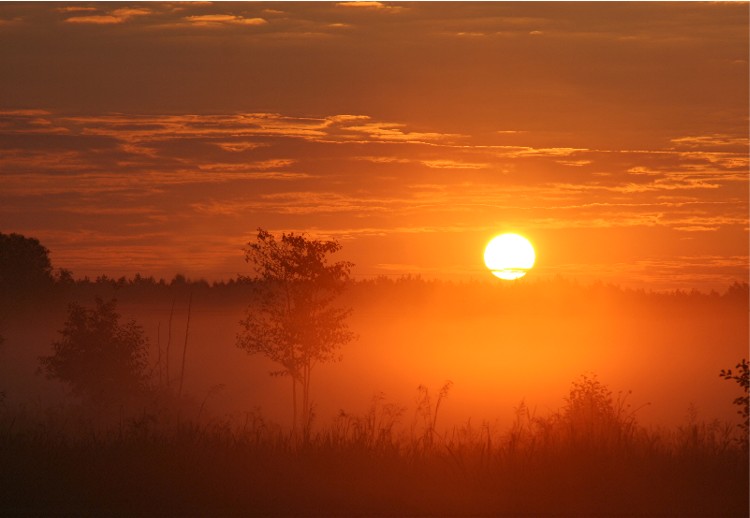 guten-morgen-sonne.jpg