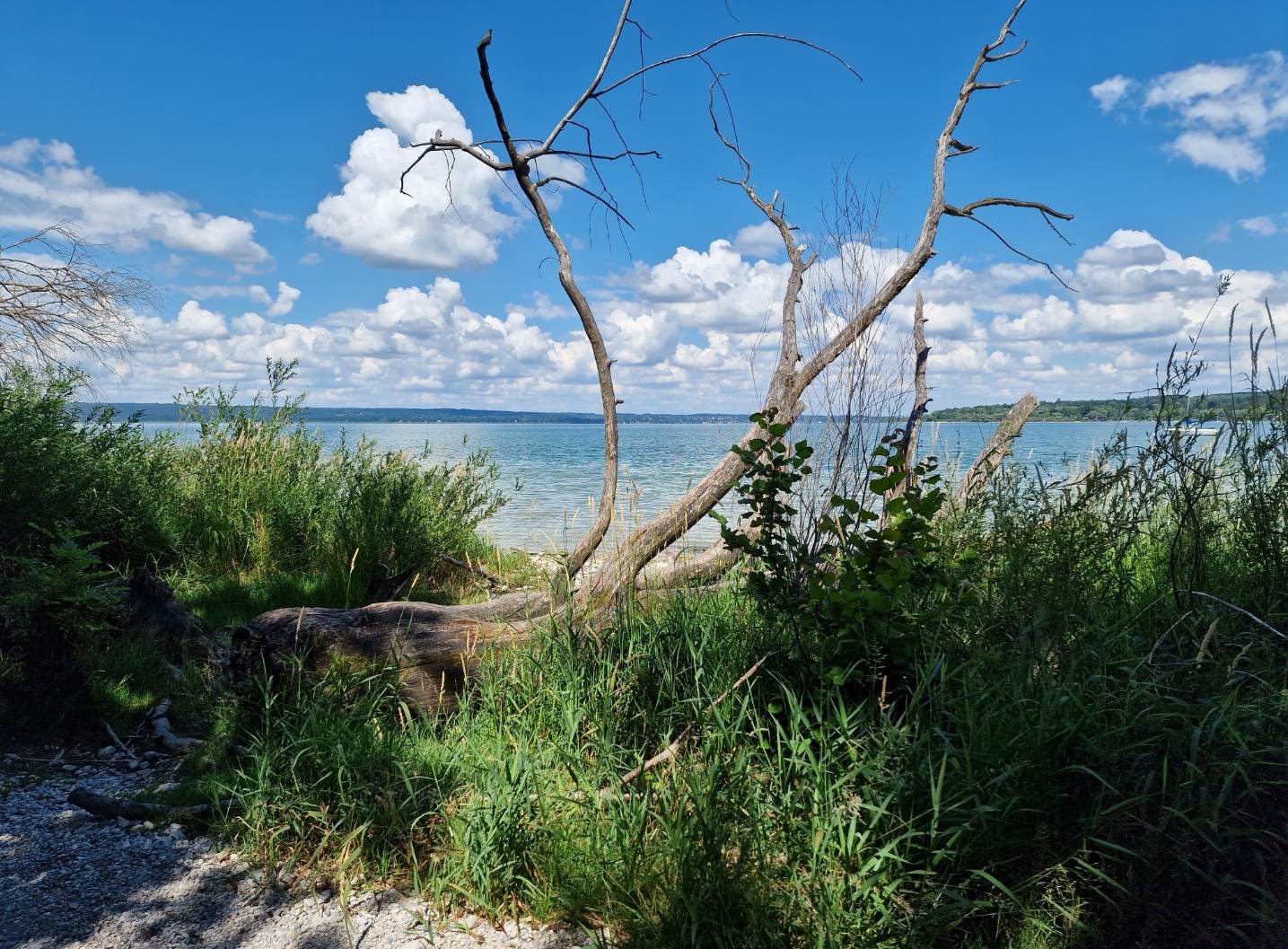 ammersee_10.jpg