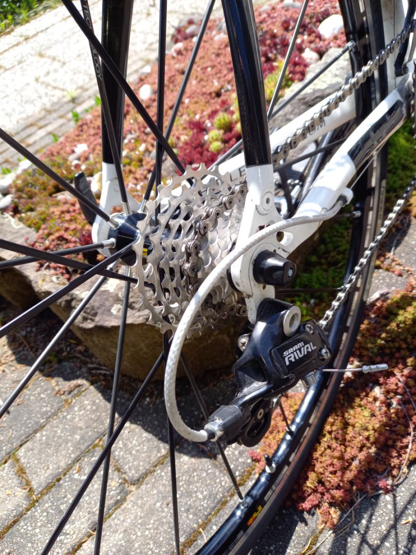 edco_ridley.jpg