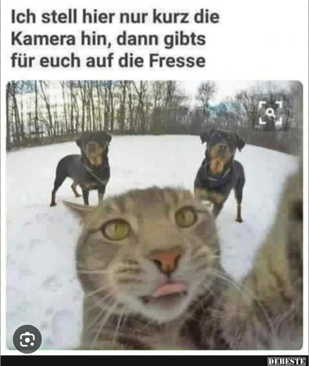attachment-33266208.jpeg