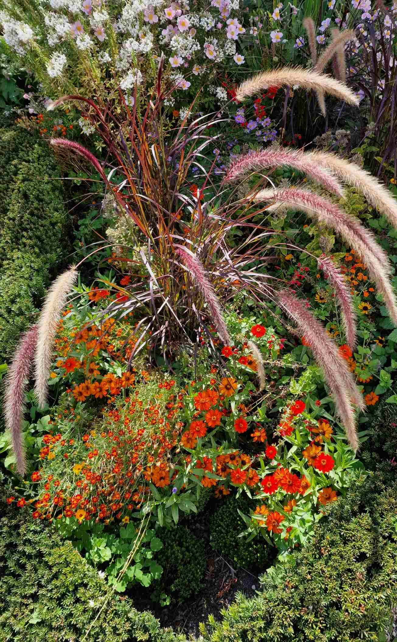garten_25.jpg
