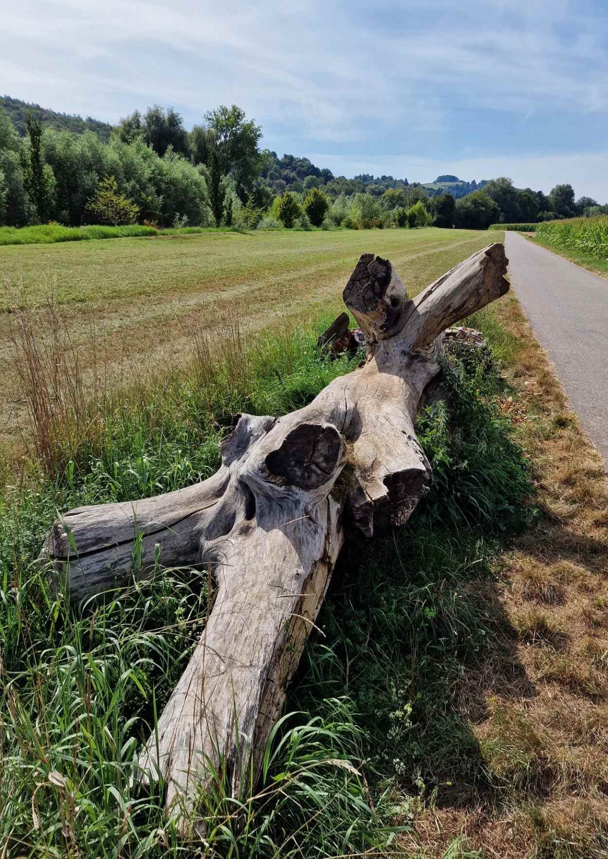 wanderung_26.jpg