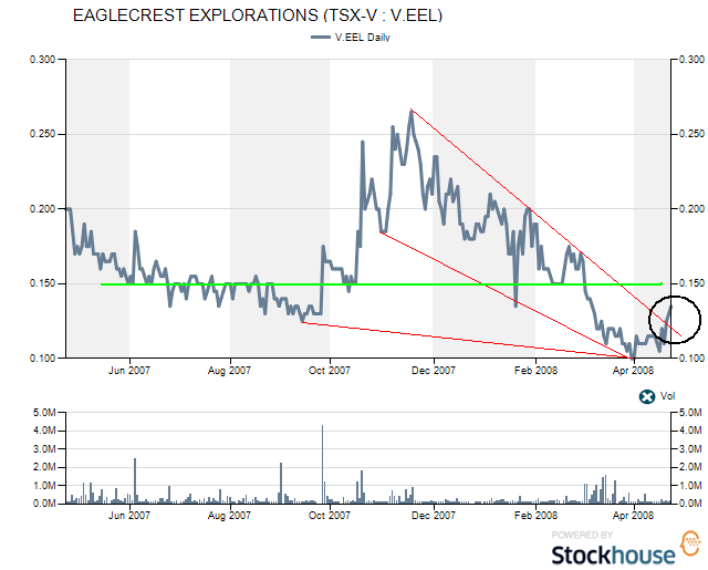 eagle1year(2).png