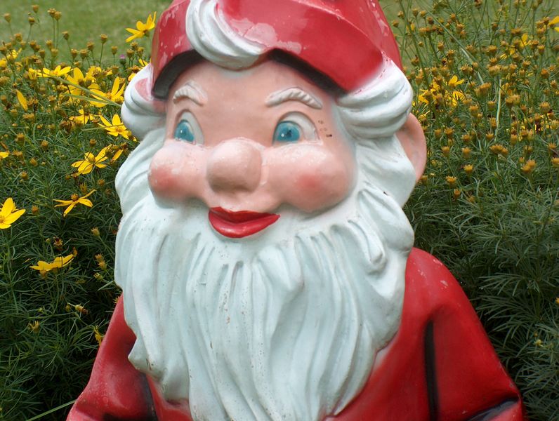 796px-gardengnome_face.jpg