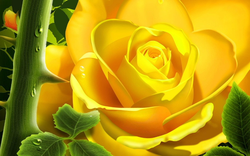 yellow_spiked_rose--.jpg