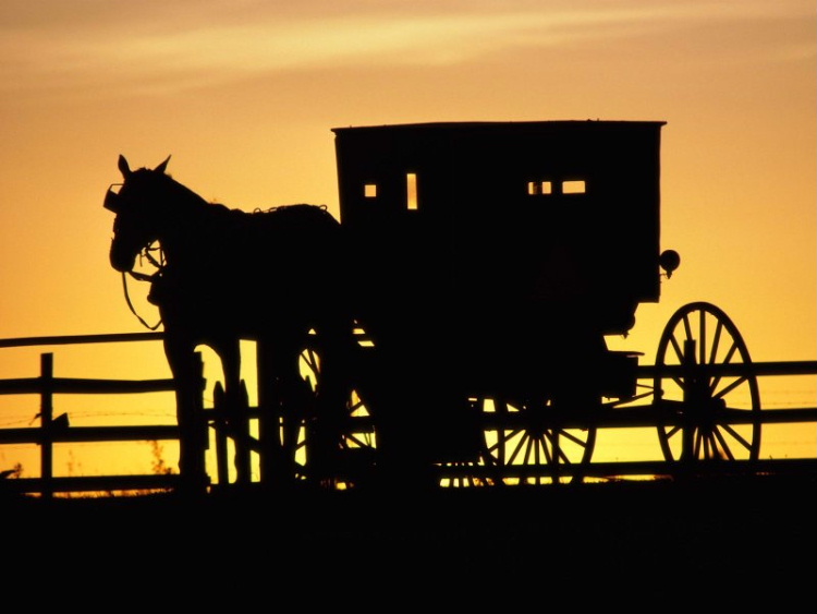 amish_horse_drawn_buggy----.jpg